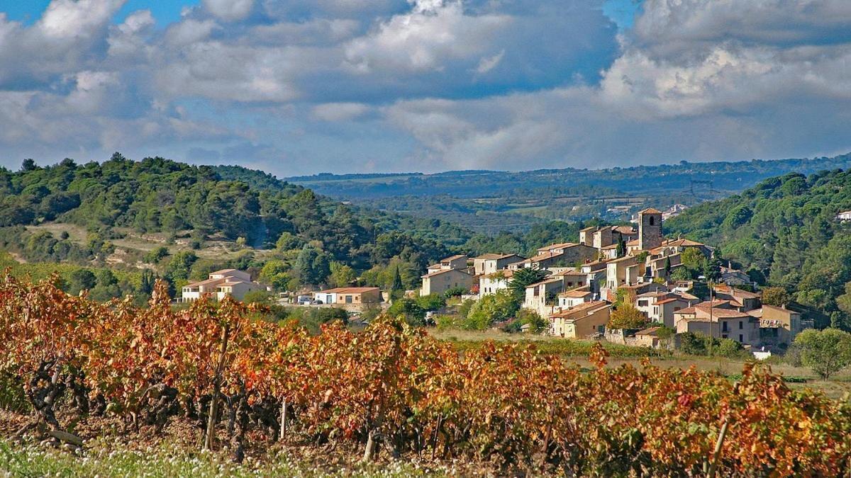 Logis Hotel Restaurant La Bergerie Aragon Esterno foto