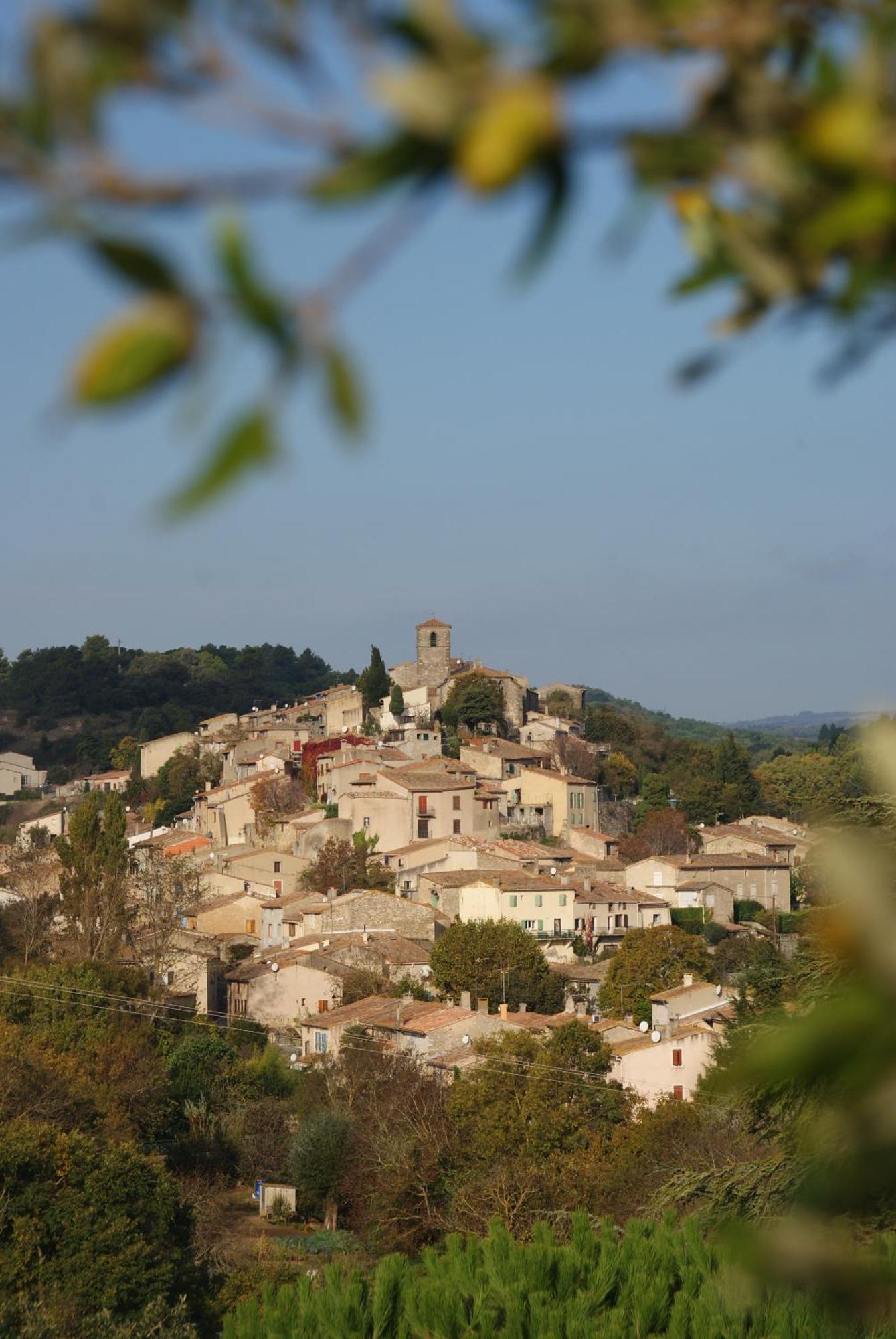 Logis Hotel Restaurant La Bergerie Aragon Esterno foto